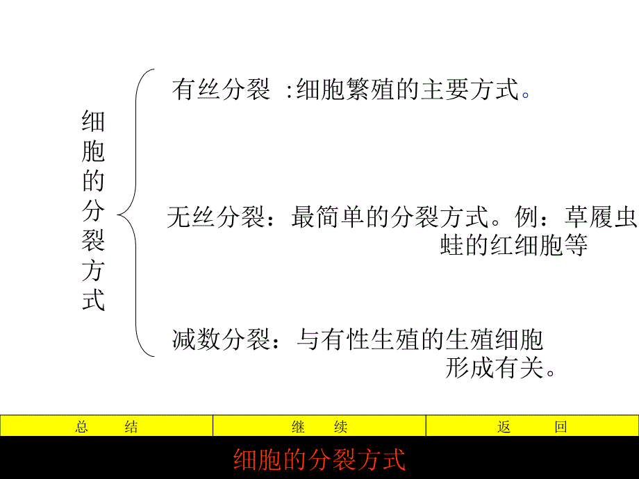 细胞有丝分裂课件李晓东_第3页