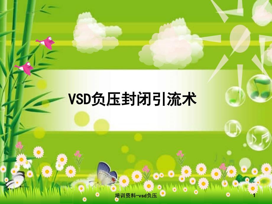 培训资料vsd负压课件_第1页