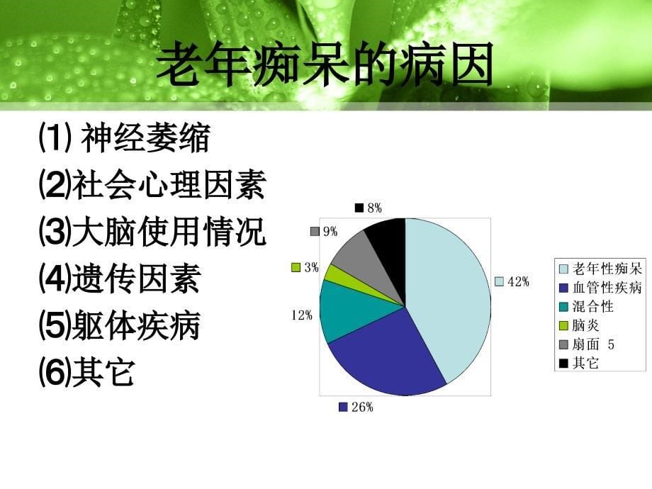 老年期痴呆病人的护理_第5页