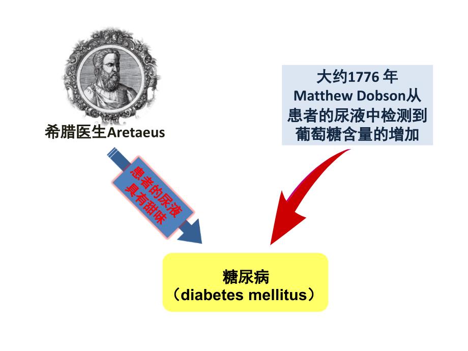 生理学教学课件：20年尿的生成与排出 医大八年制——闫莉3_第3页