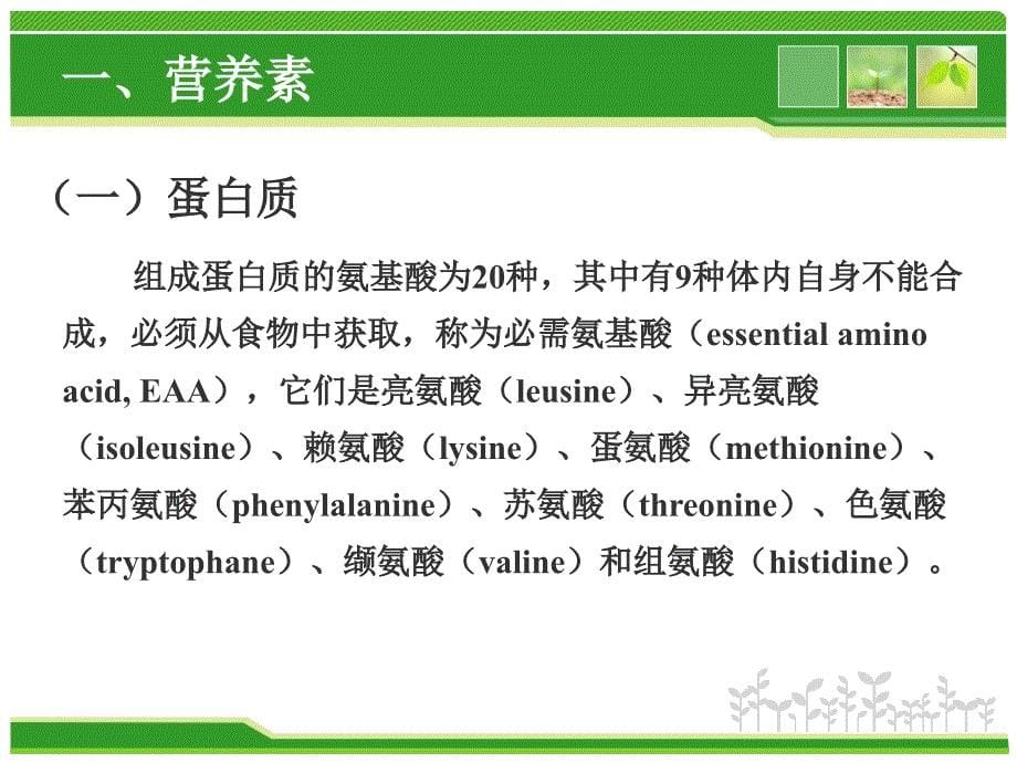 第七章食物与健康_第5页