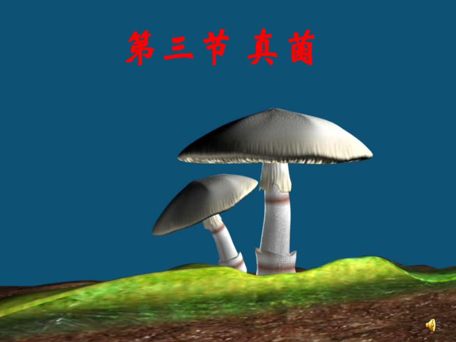 人教版八年级生物真菌_第1页