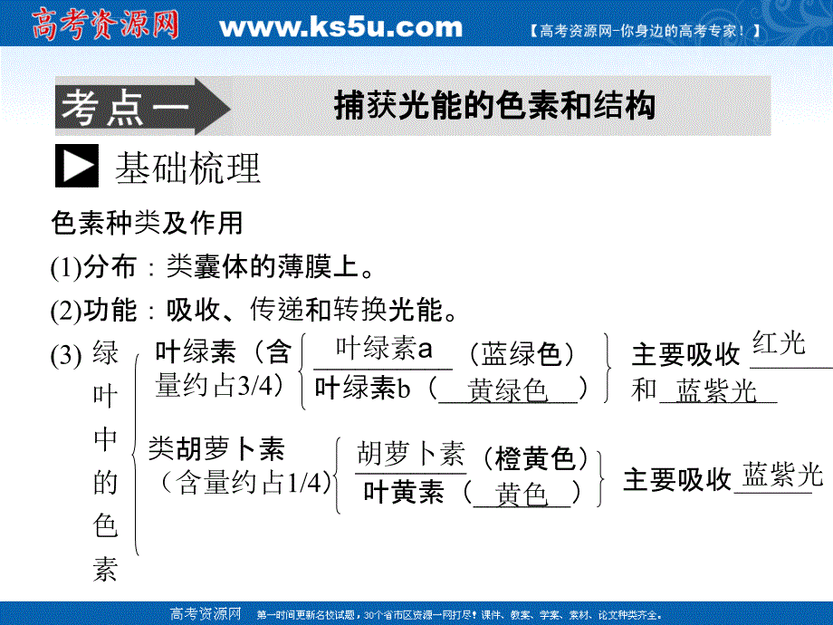 2011届生物高考一轮复习课件：必修1-第5章-第4节-能量之源—光与光合作用ppt_第3页