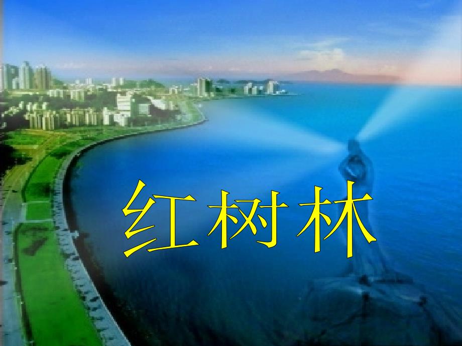 五年级语文上册《红树林》课件2 北师大版_第1页