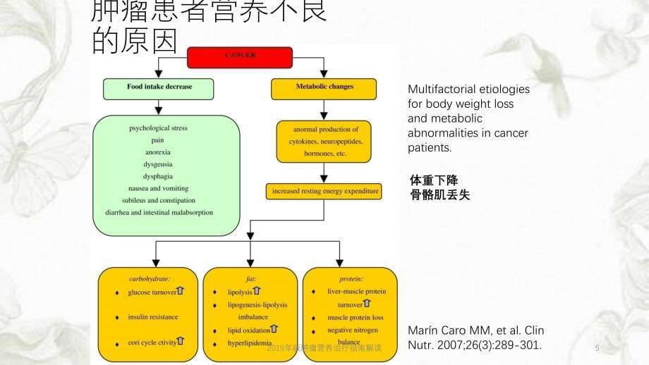 2019年版肿瘤营养治疗指南解读ppt课件_第5页