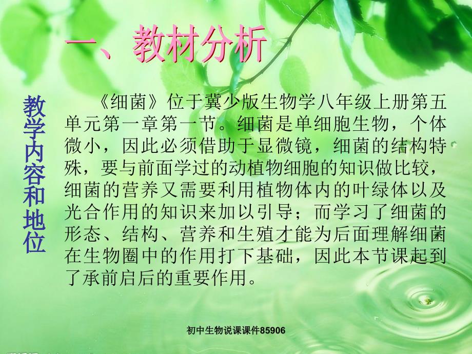 初中生物说课课件细菌_第4页