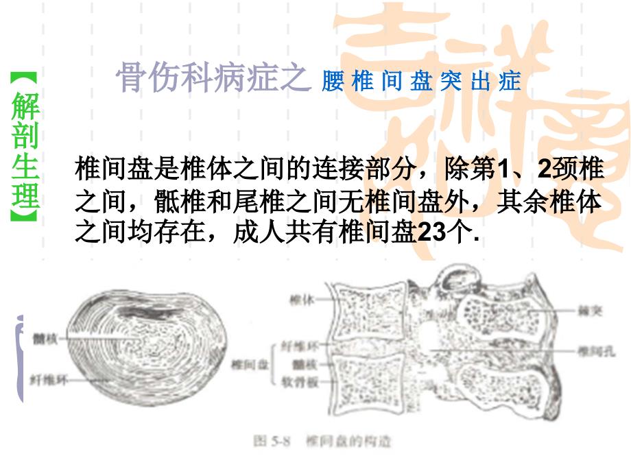 推拿治疗腰椎间盘突出症ppt课件_第2页