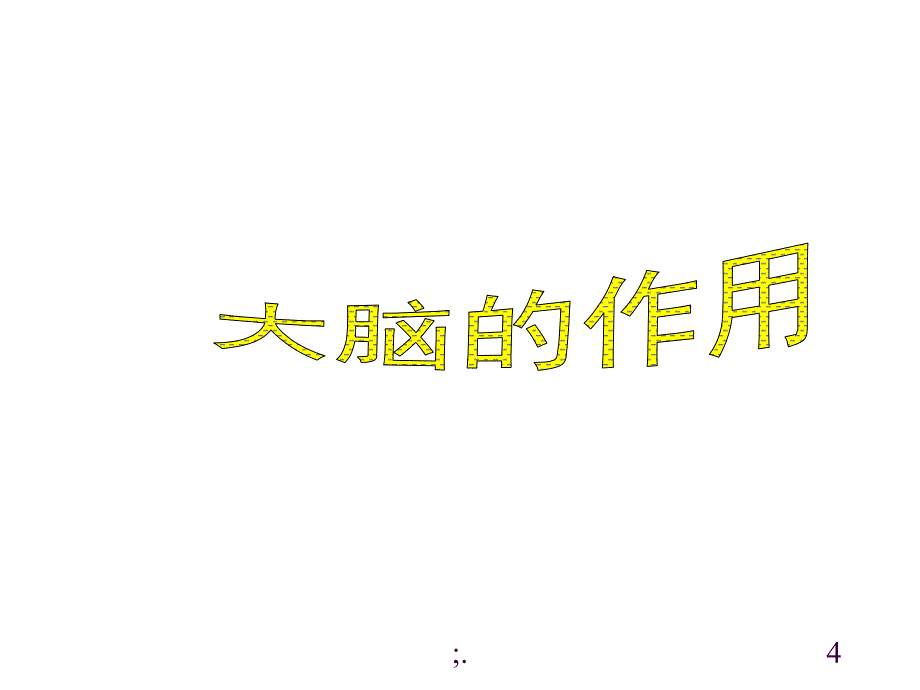 聪明的大脑ppt课件_第4页