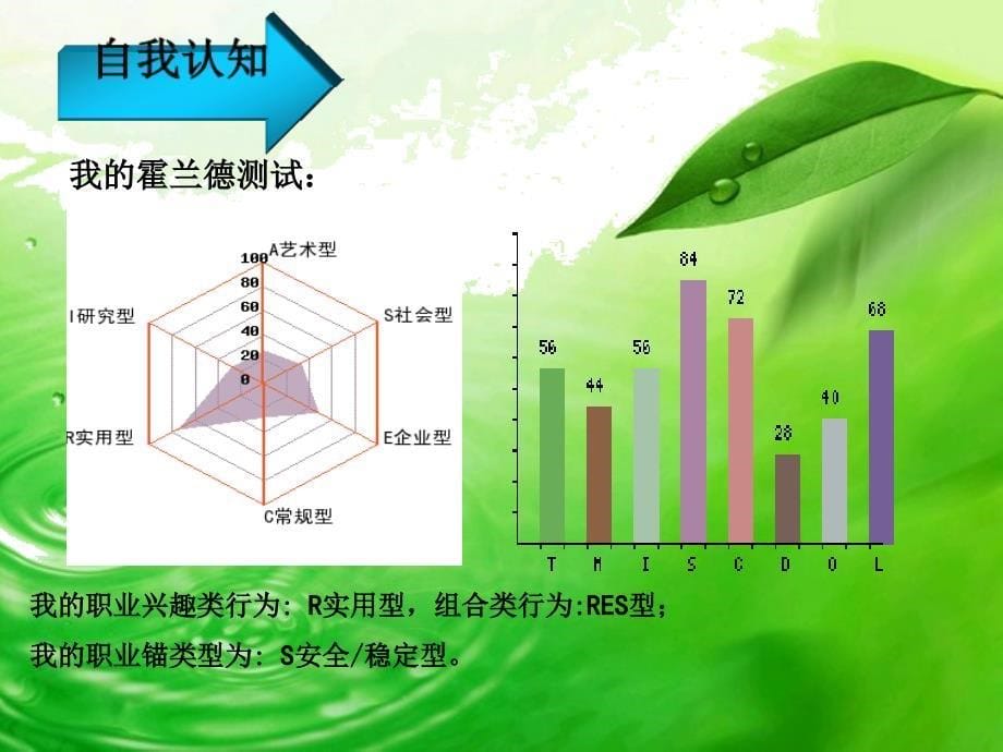 职业生涯规划书-田红.ppt_第5页