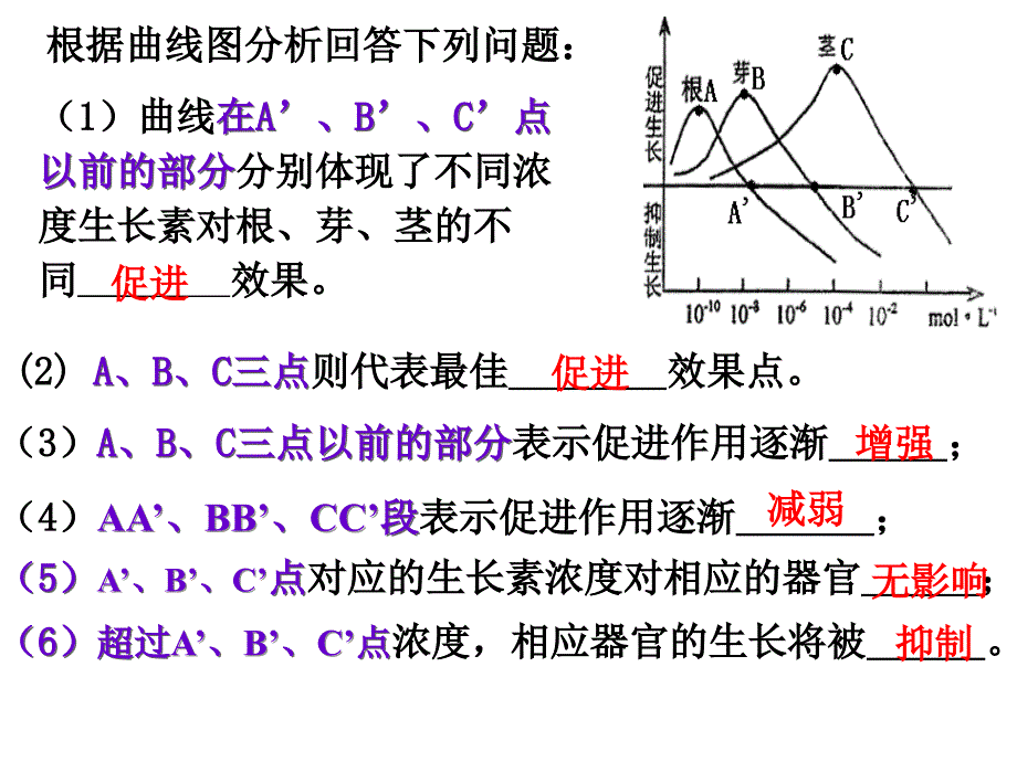 高中生物生长素的生理作用_第3页