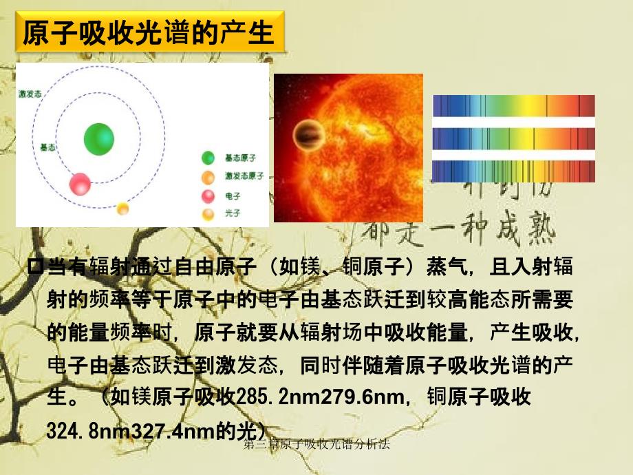 第三章原子吸收光谱分析法_第4页