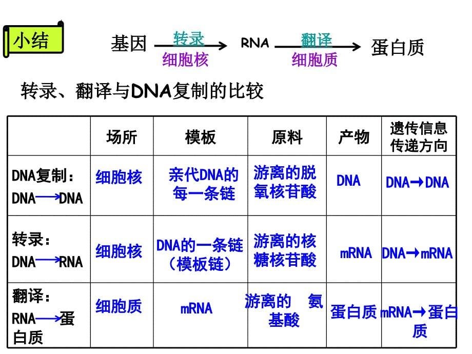 第11单元基因的表达_第5页