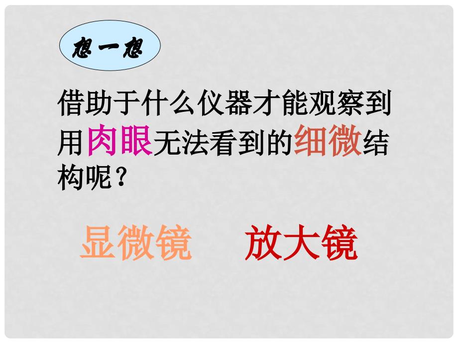 甘肃省会宁县七年级生物上册《第二章 探索生命》课件 苏教版_第4页