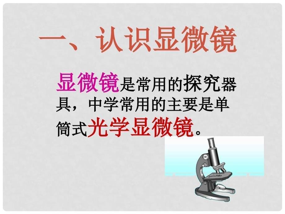 甘肃省会宁县七年级生物上册《第二章 探索生命》课件 苏教版_第5页