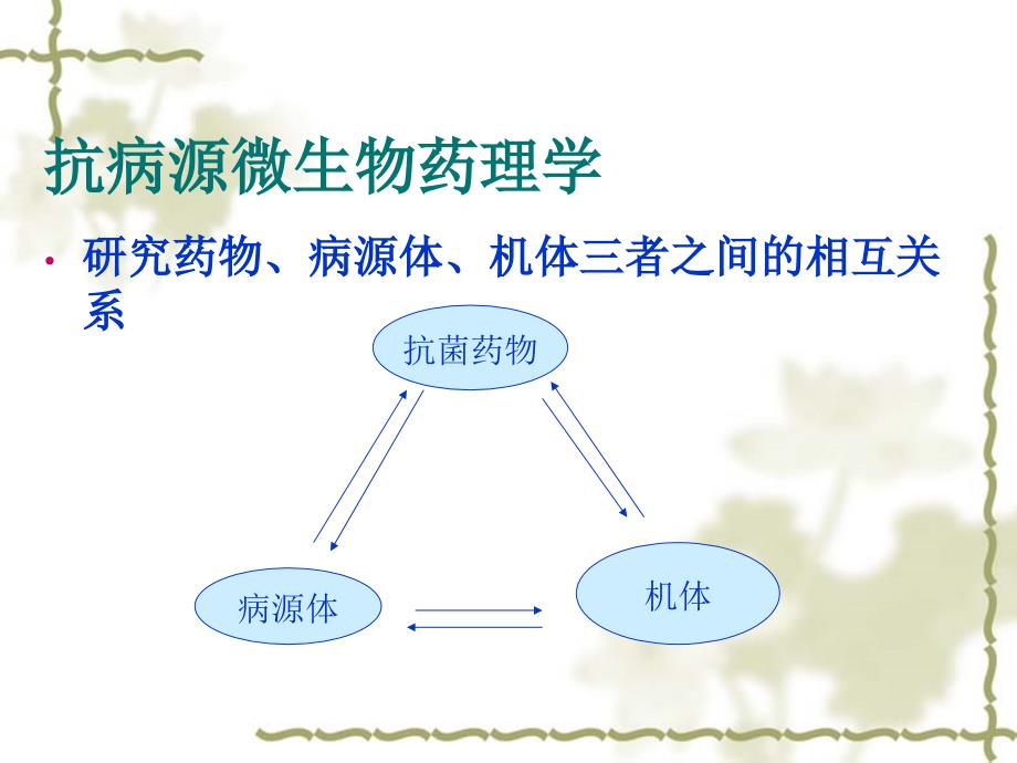 《药理学》教学课件-抗病源微生物药物概论_第3页