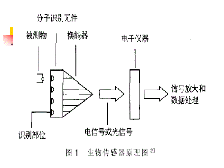 生物技术与食品安全检测_第4页