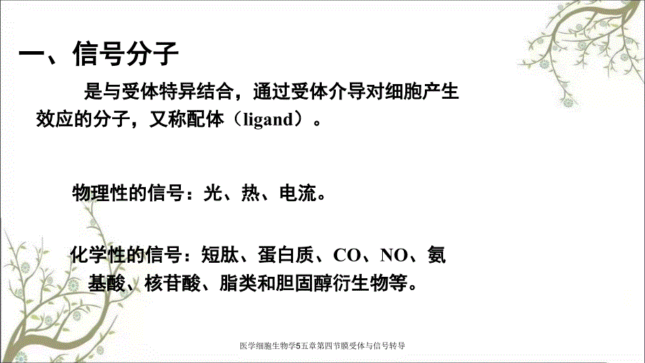 医学细胞生物学5五章第四节膜受体与信号转导_第4页