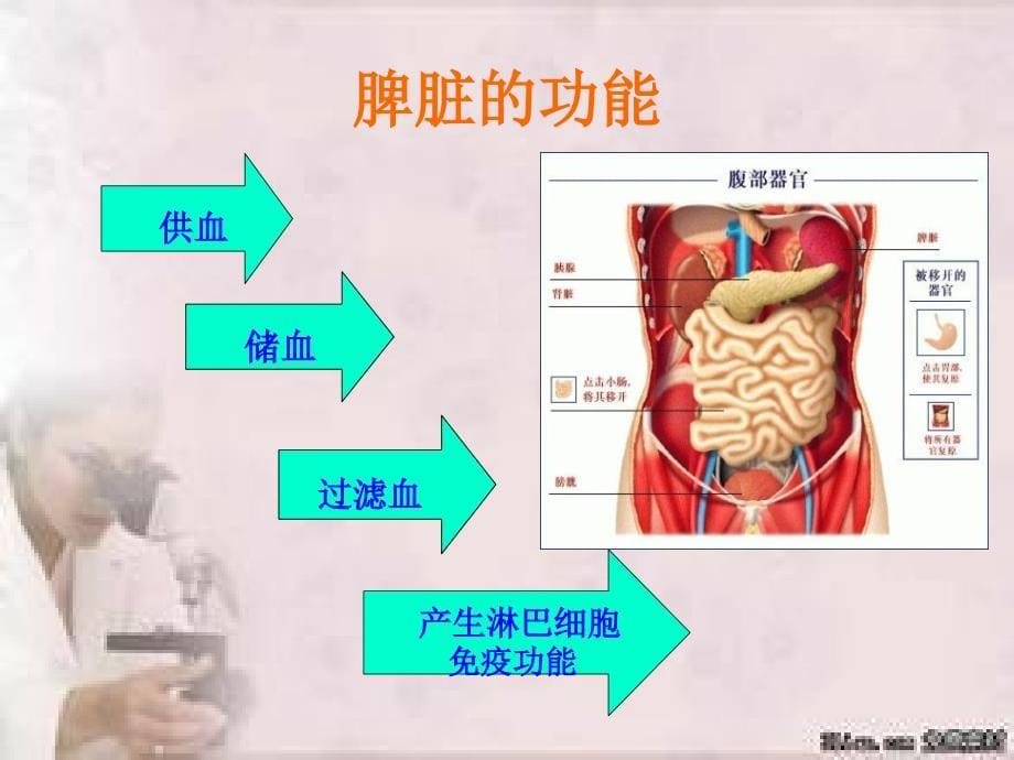 外伤性脾破裂的护理_第5页