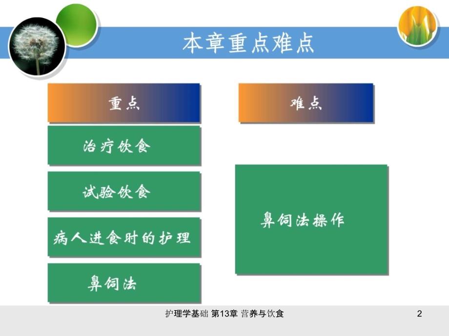 护理学基础第13章营养与饮食课件_第2页