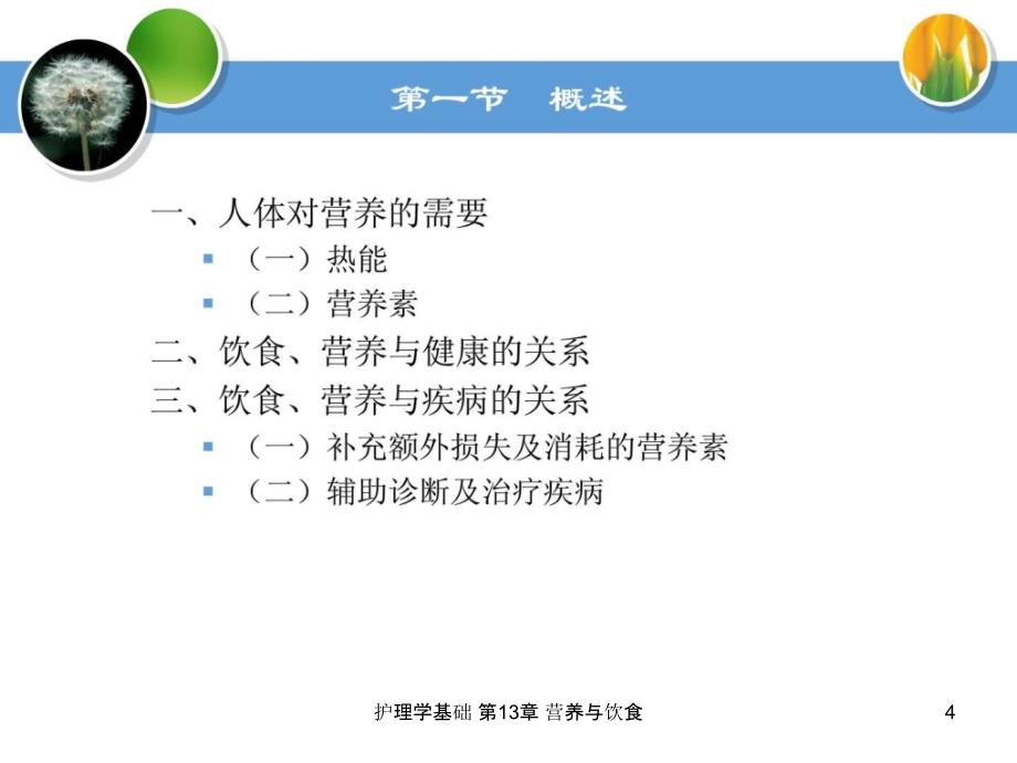 护理学基础第13章营养与饮食课件_第4页