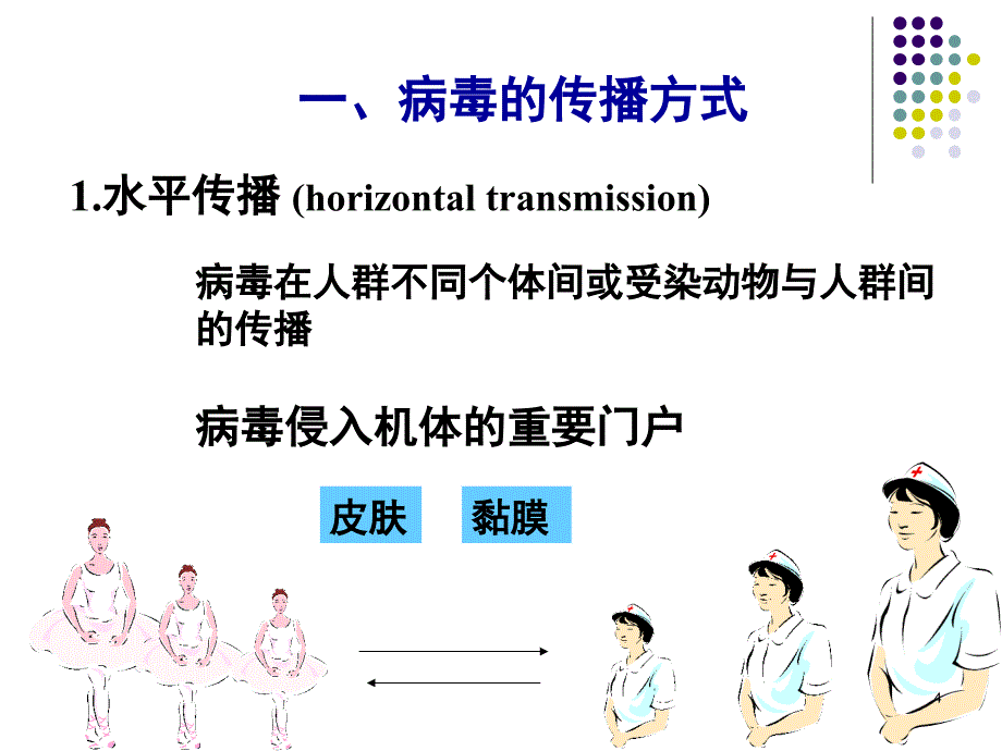 病毒的感染和免疫ppt课件_第4页