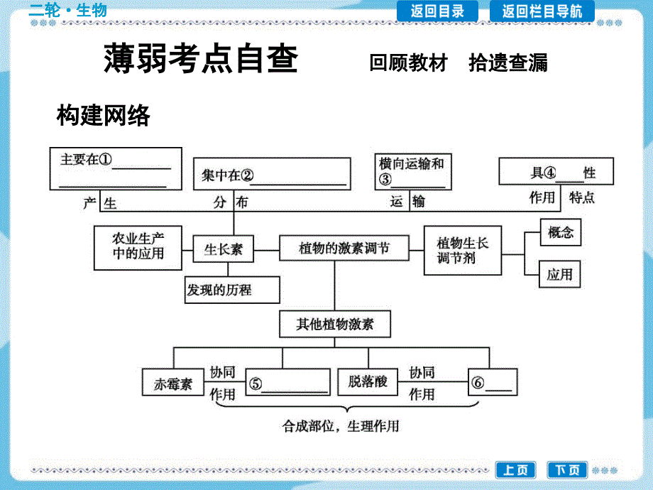 小专题13植物的激素调节_第2页