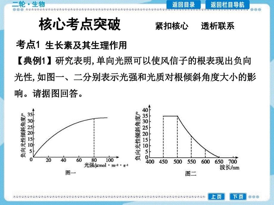 小专题13植物的激素调节_第5页