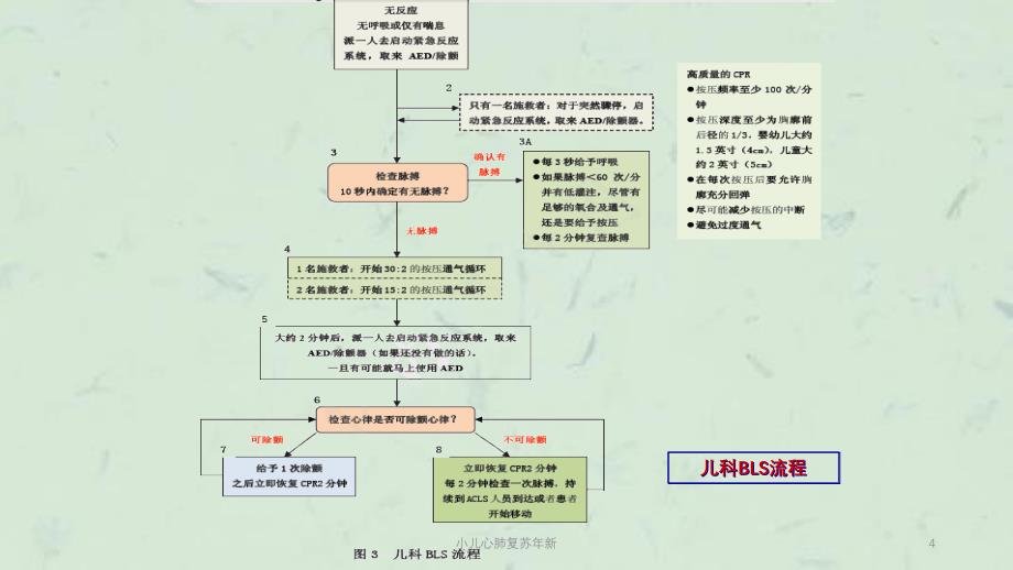 小儿心肺复苏年新课件_第4页