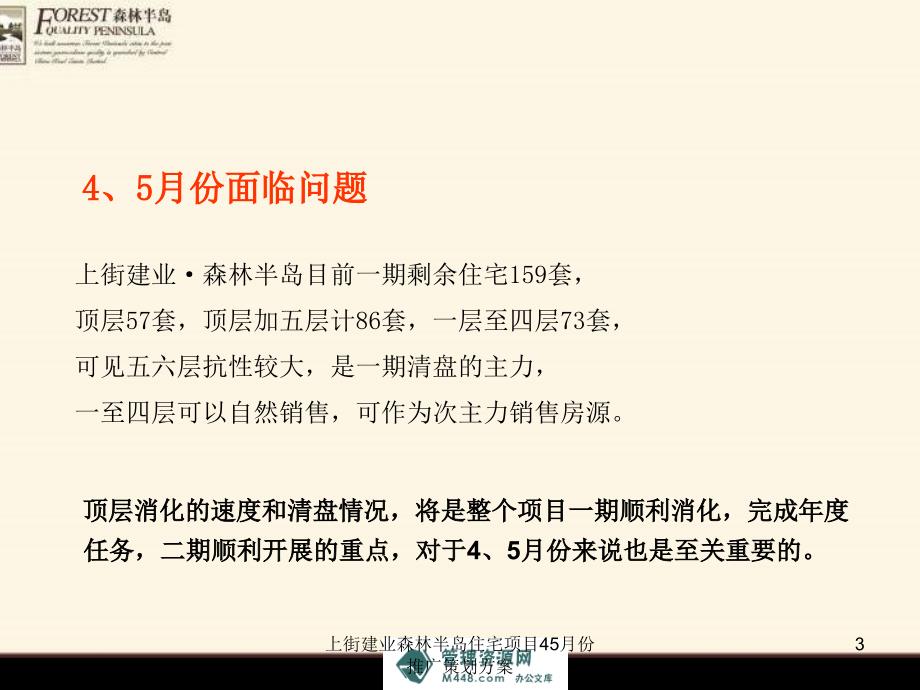 上街建业森林半岛住宅项目45月份推广策划方案课件_第3页