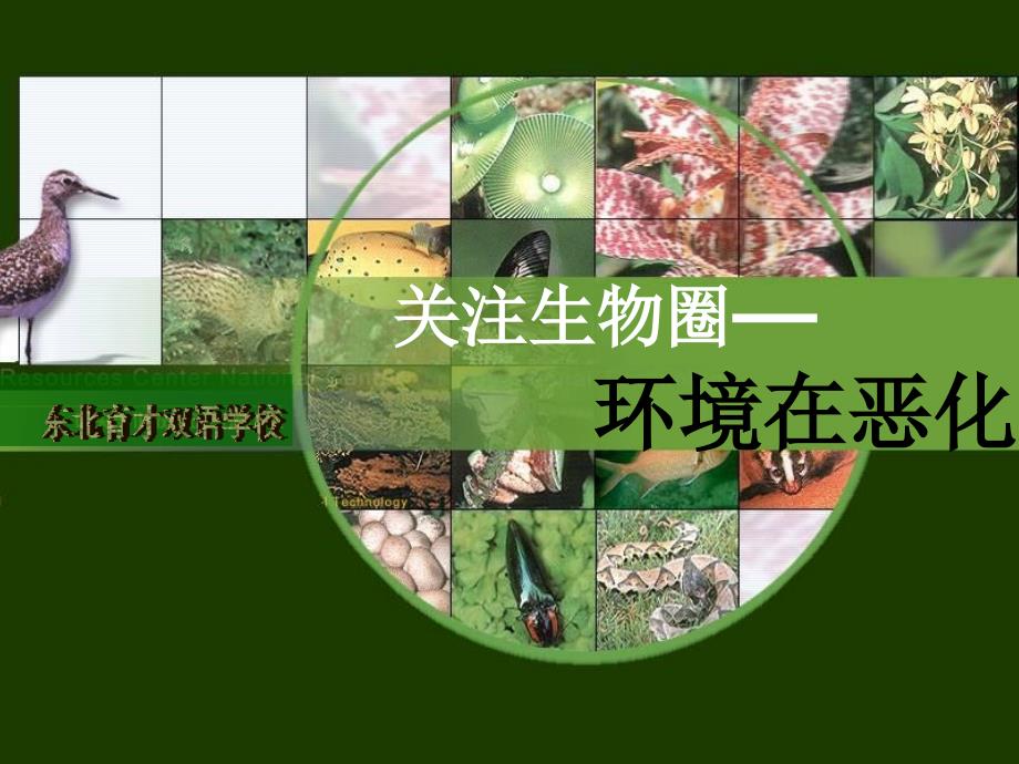 生物：13.1关注生物圈—环境在恶化课件苏教版七下_第2页