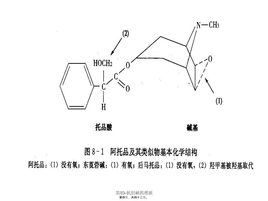 第89-抗胆碱药模板课件_第4页