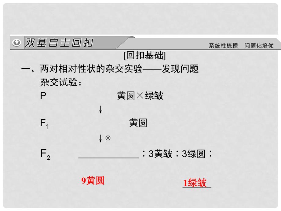 高考生物大一轮总复习 5.14 孟德尔的豌豆杂交实验（二）课件 新人教版必修2_第2页