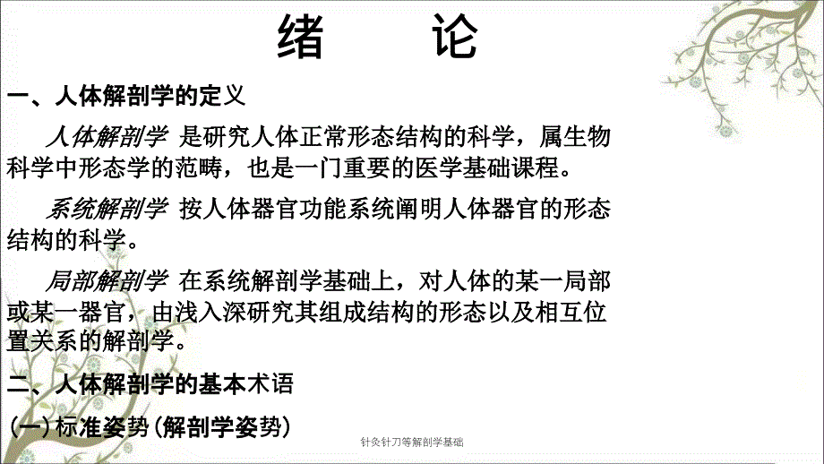 针灸针刀等解剖学基础课件_第2页