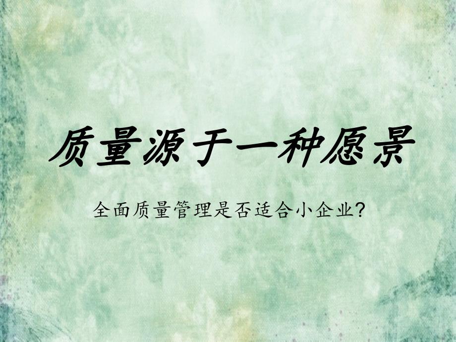 质量源于一种愿景.ppt_第1页