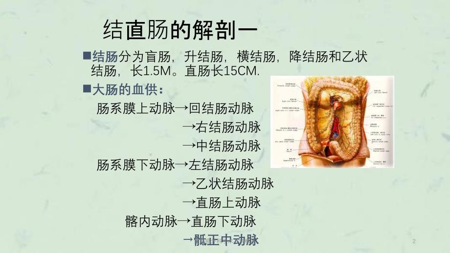 结肠癌外科手术方法概述课件_第2页