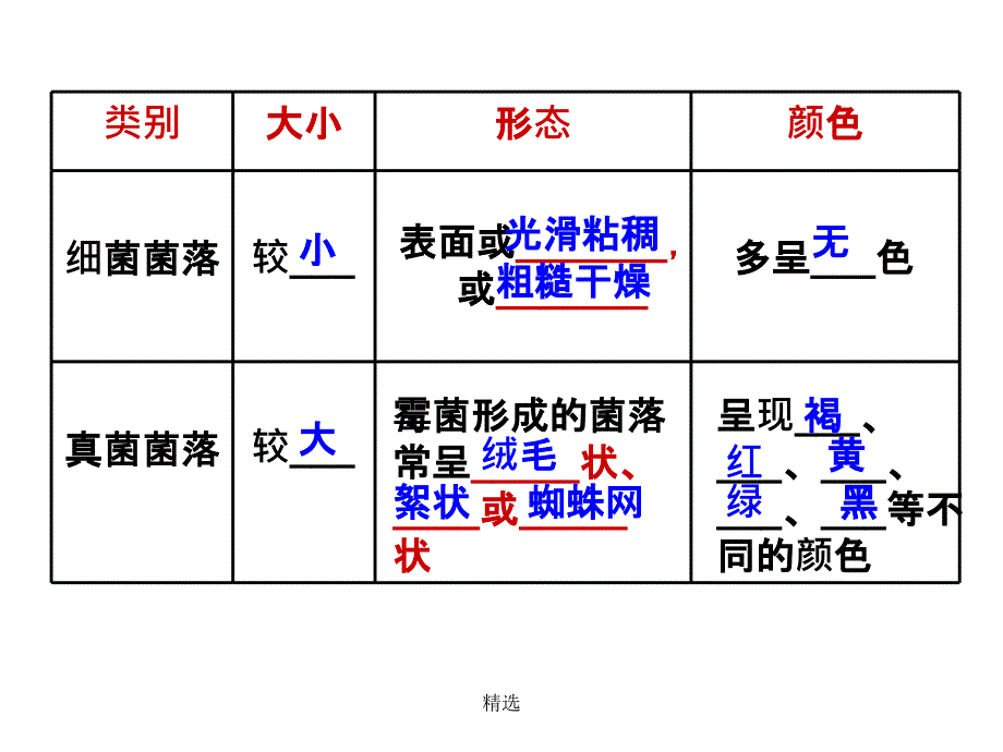 细菌、真菌、病毒(复习)ppt课件_第3页