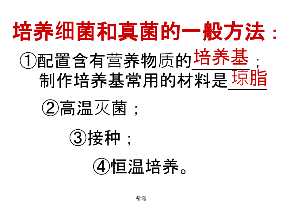 细菌、真菌、病毒(复习)ppt课件_第4页