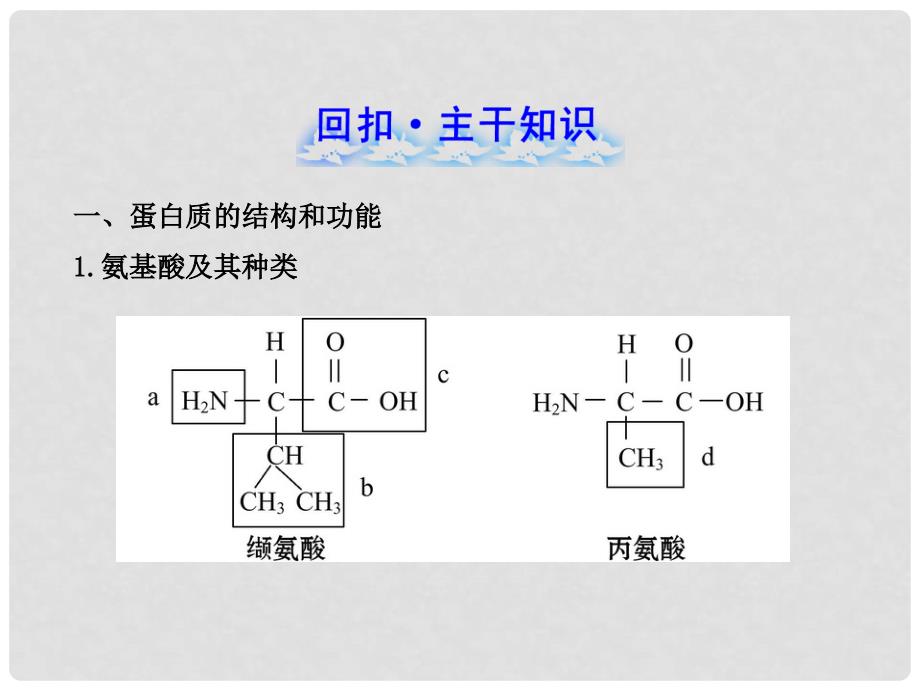 高中生物 1.2.2细胞中的生物大分子(二)课件 苏教版必修1_第2页