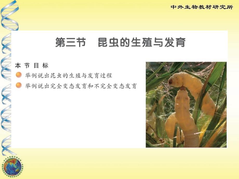 苏教版八年级生物昆虫的生殖与发育_第1页