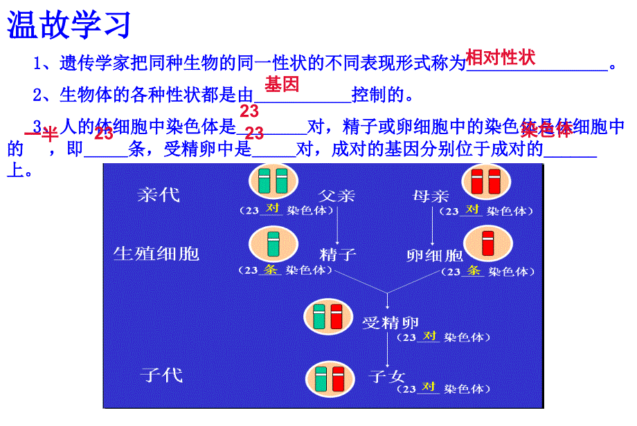 基因的显性和隐性生物课件1_第2页