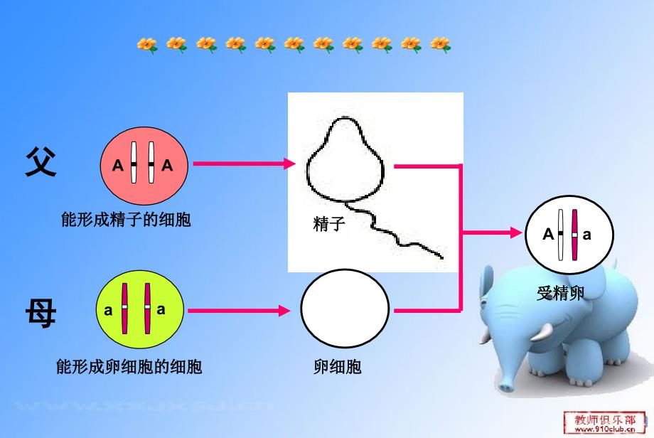 基因的显性和隐性生物课件1_第3页