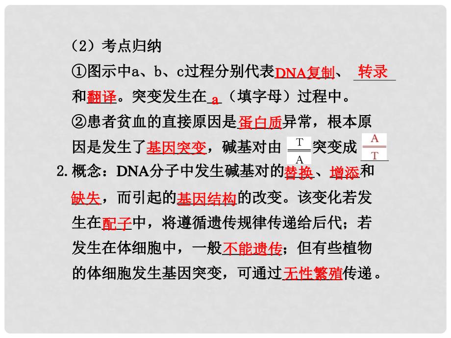 江苏省赣榆县海头高级中学高一生物《基因突变》课件_第3页