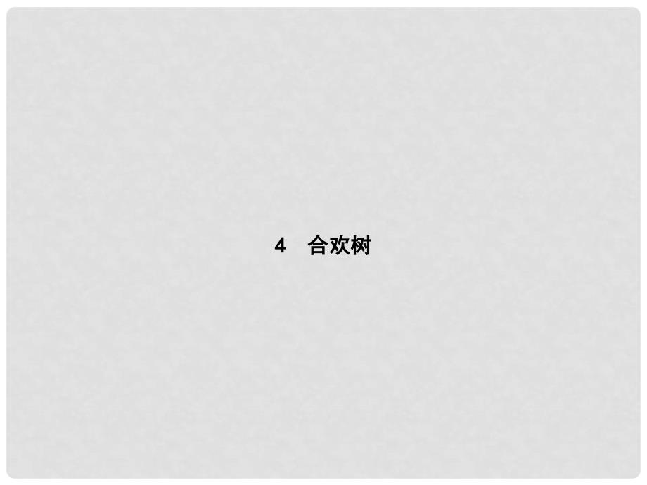 八年级语文下册 第一单元 4 合欢树课件 语文版_第1页