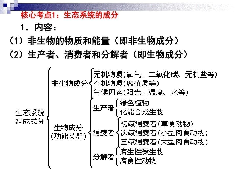 高考生物一轮复习通用课件生态系统的结构_第5页