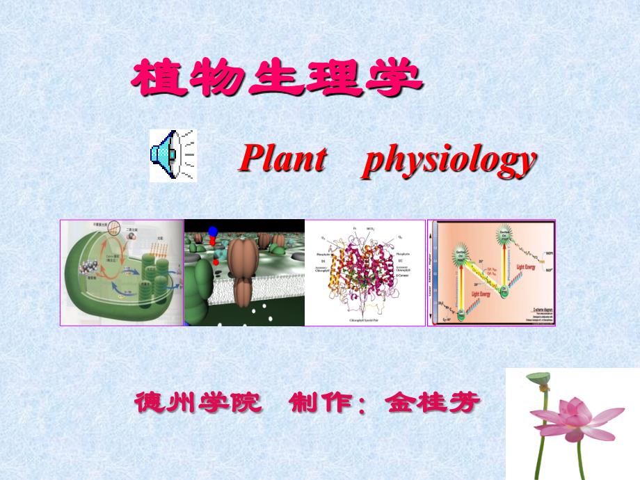 植物生理学之成花_第1页