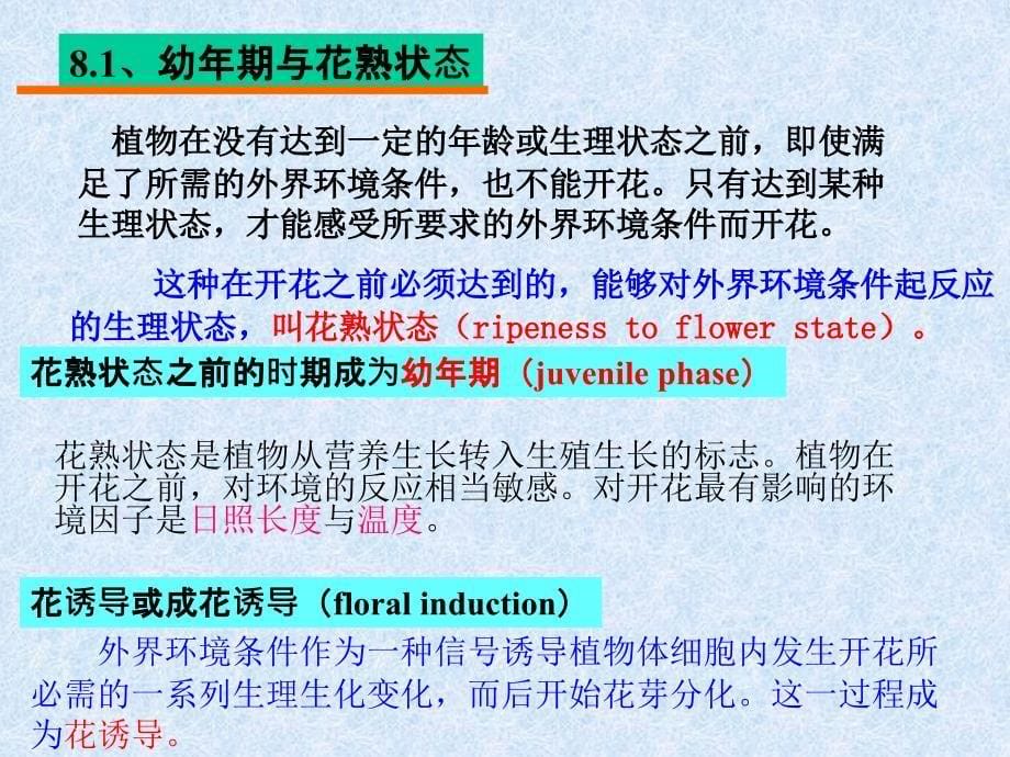 植物生理学之成花_第5页