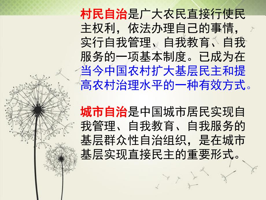 广东省揭阳一中高考政治复习 1.3 政治生活 积极参与 重在实践课件5 新人教版必修_第4页