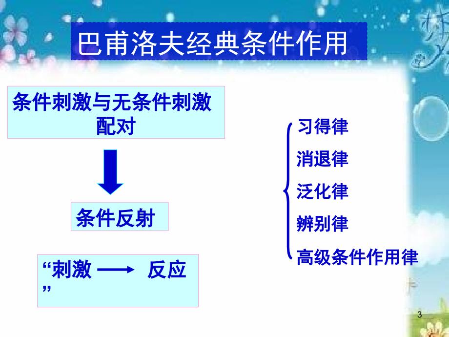 华生经典条件作用的发展PPT课件_第3页