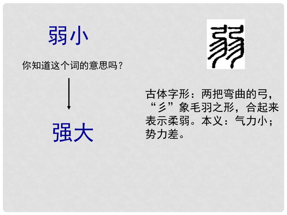 四年级语文下册 14《我不是最弱小的》课件 苏教版_第1页