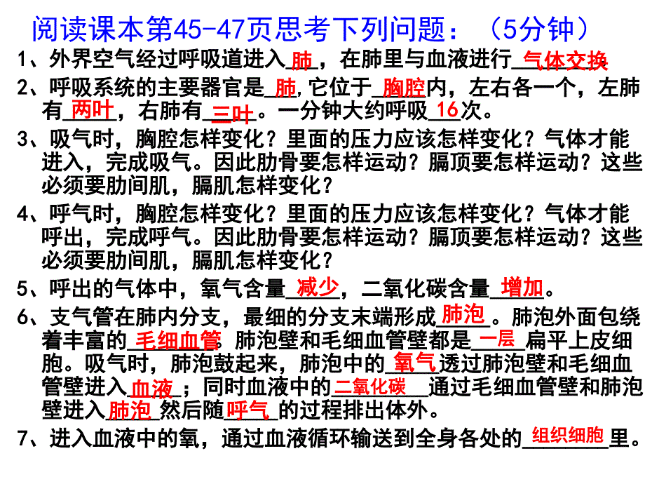 发生在肺内的气体交换ppt_第4页